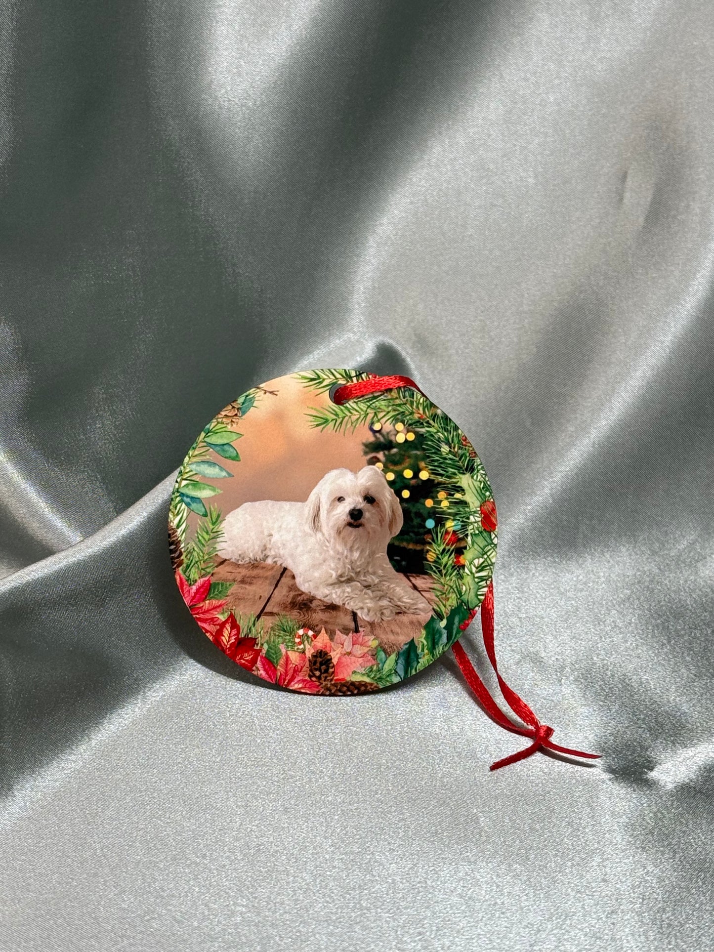 2 Piece Customizable Pet Ornaments with Your Special Message